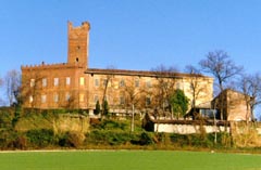 uviglie
